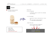iPetBrand 마케팅 제안-9