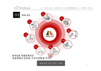 iPetBrand 마케팅 제안-11