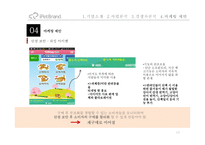 iPetBrand 마케팅 제안-13