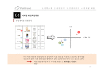 iPetBrand 마케팅 제안-14