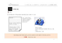 iPetBrand 마케팅 제안-16