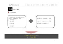 iPetBrand 마케팅 제안-17