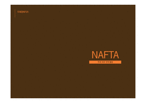 NAFTA 레포트-1