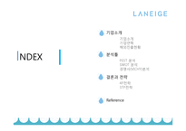 라네즈 미국진출 전략-2