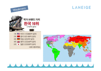 라네즈 미국진출 전략-10