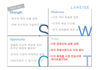 라네즈 미국진출 전략-14