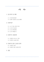 다국적 기업 SONY 분석-2