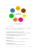 다국적 기업 SONY 분석-5