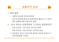 남녀의 성차 레포트-4