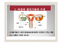 여성의 몸과 마음-2