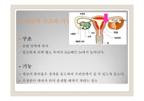 여성의 몸과 마음-3