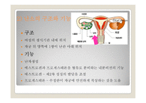 여성의 몸과 마음-4