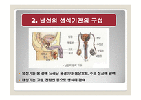 여성의 몸과 마음-6