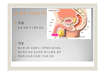 여성의 몸과 마음-7
