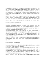 [독일계 사회정책의 개념] 독일 사회복지정책의 개념(분배적 사회정책론, 생산정책적 또는 전체주의적 사회정책론, 사회주의적 사회정책론, 독일 사회정책의 특징)-3