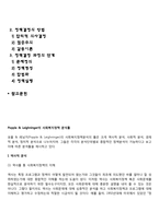 포플과 레닝거의 사회복지정책 분석틀-2