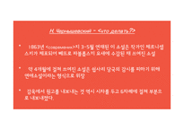 소설 `아샤` 작품분석-9