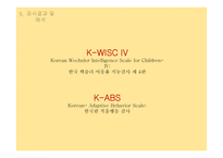 한국판 적응행동검사(K-ABS), 한국판 웩슬러 아동용 지능검사 제 4판(K-WISC-Ⅳ) Case Study-10