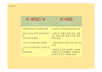 한국판 적응행동검사(K-ABS), 한국판 웩슬러 아동용 지능검사 제 4판(K-WISC-Ⅳ) Case Study-13