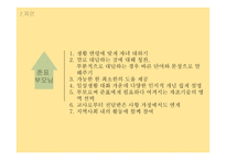 한국판 적응행동검사(K-ABS), 한국판 웩슬러 아동용 지능검사 제 4판(K-WISC-Ⅳ) Case Study-15