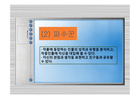 `파수꾼` 독자반응비평과 교수학습계획 및 학습지도안-14
