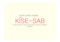KISE - SAB(국립특수교육원 적응행동검사)-1