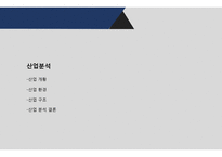 농심 기업분석 레포트-5