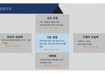 농심 기업분석 레포트-10