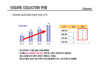 에스콰이어 4대 핸드백 브랜드 진입을 위한 중장기 전략-9