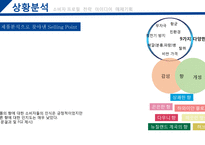 페부리즈 마케팅전략 FEBREZE-6