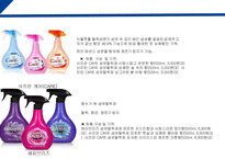페부리즈 마케팅전략 FEBREZE-13