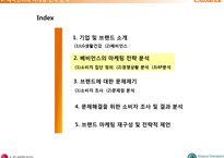 LG생활건강 베비언스의 마케팅전략 방안-6