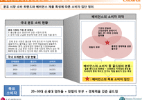 LG생활건강 베비언스의 마케팅전략 방안-7