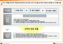 LG생활건강 베비언스의 마케팅전략 방안-20