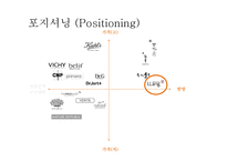 정관장 한방화장품 량Llang 마케팅전략-4