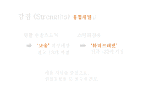정관장 한방화장품 량Llang 마케팅전략-12