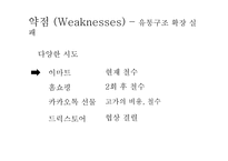 정관장 한방화장품 량Llang 마케팅전략-19