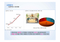 관광 인터넷 마케팅 세일 투나잇 마케팅전략-12