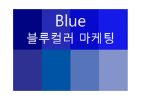 Blue 블루컬러 마케팅-1