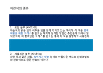 Blue 블루컬러 마케팅-4