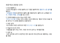 Blue 블루컬러 마케팅-7
