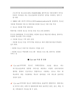 [A＋]CYS-NET(지역사회청소년 통합지원체계, 가출청소년 위기청소년 사회안전망)문제점과 해결방안 분석 보고서-10