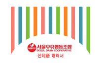 서울우유 신제품 계획서-1
