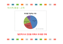 서울우유 신제품 계획서-15