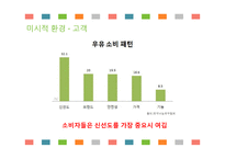 서울우유 신제품 계획서-16