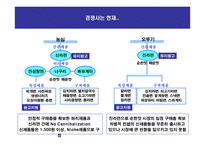 삼양라면 수타면 마케팅커뮤니케이션전략-8
