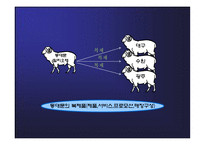 밀리오레 마케팅 커뮤니케이션 전략-7