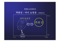 밀리오레 마케팅 커뮤니케이션 전략-12