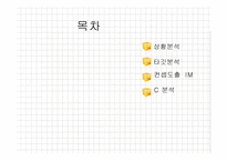 DAILY-C 비타민워터 마케팅전략-2