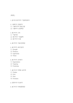 봉구비어 기업현황과 마케팅 SWOT,STP,4P전략분석및 봉구비어 미래방향제언-2
